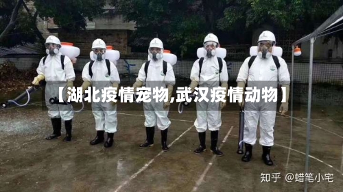 【湖北疫情宠物,武汉疫情动物】