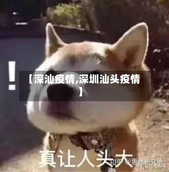 【深汕疫情,深圳汕头疫情】