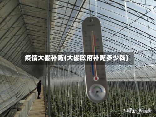 疫情大棚补贴(大棚政府补贴多少钱)