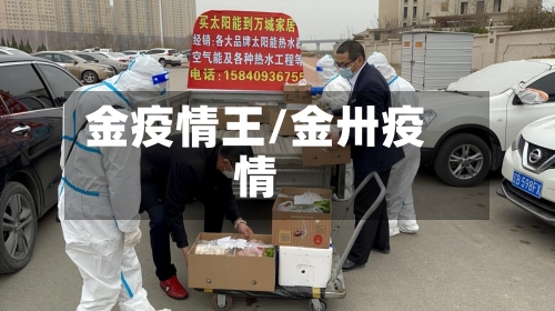 金疫情王/金卅疫情