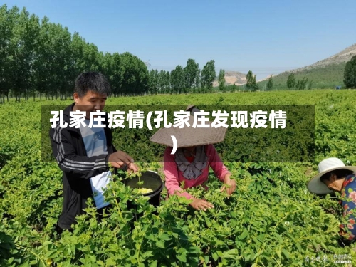 孔家庄疫情(孔家庄发现疫情)