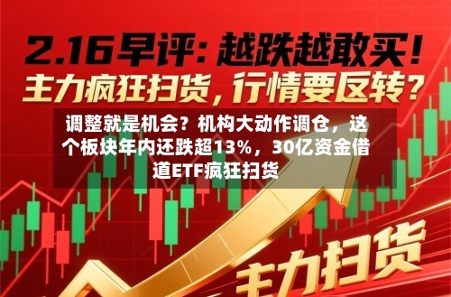 调整就是机会?机构大动作调仓,这个板块年内还跌超13%,30亿资金借道ETF疯狂扫货
