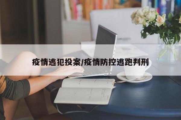 疫情逃犯投案/疫情防控逃跑判刑