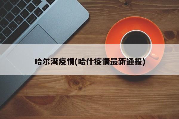 哈尔湾疫情(哈什疫情最新通报)